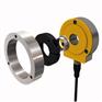 RI-10S6S-2B5000-H1181