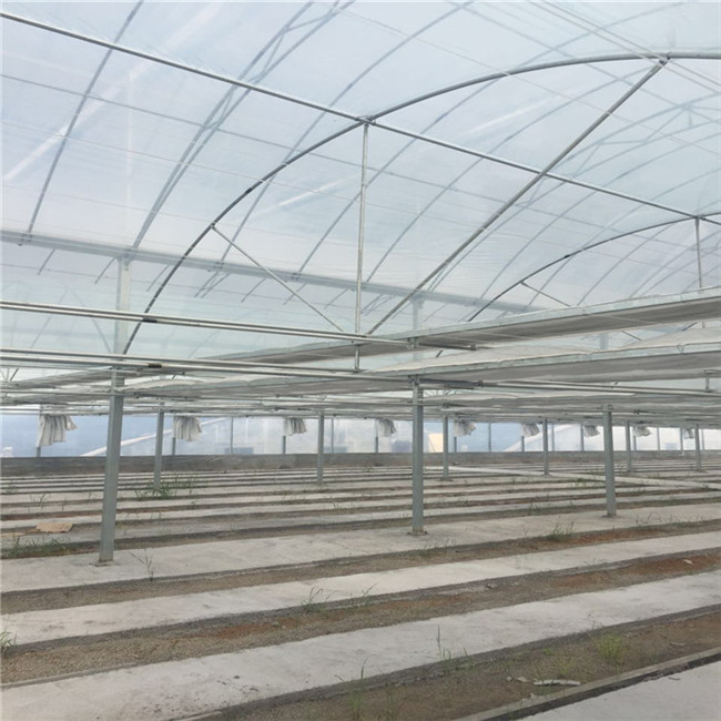 连栋薄膜温室,连栋大棚,塑料温室大棚价格 单栋温室价格 塑料温室大棚厂家 温室蔬菜大棚厂家
