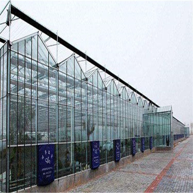 温室餐厅厂家,生态温室工程厂家,生态餐厅厂家 生态温室建设厂家 玻璃生态餐厅