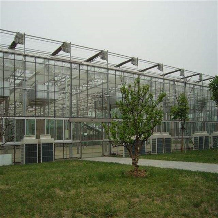 温室餐厅厂家,生态温室工程厂家,生态餐厅厂家 生态温室建设厂家 玻璃生态餐厅