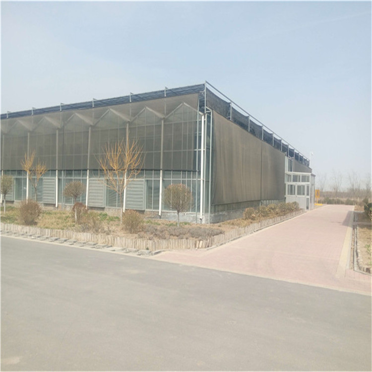 玻璃温室,玻璃大棚建设,智能玻璃温室大棚 纹络式玻璃温室 尖顶玻璃温室