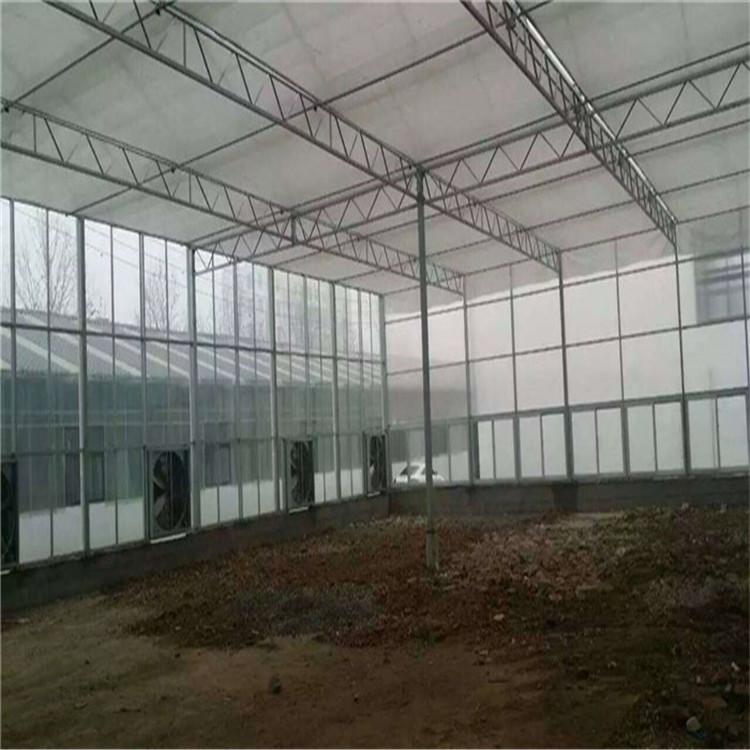 阳光板温室大棚，纹络式阳光板温室，尖顶温室价格&nbsp;&nbsp;pc板温室&nbsp;&nbsp;阳光板大棚&nbsp;&nbsp;阳光板温室价格