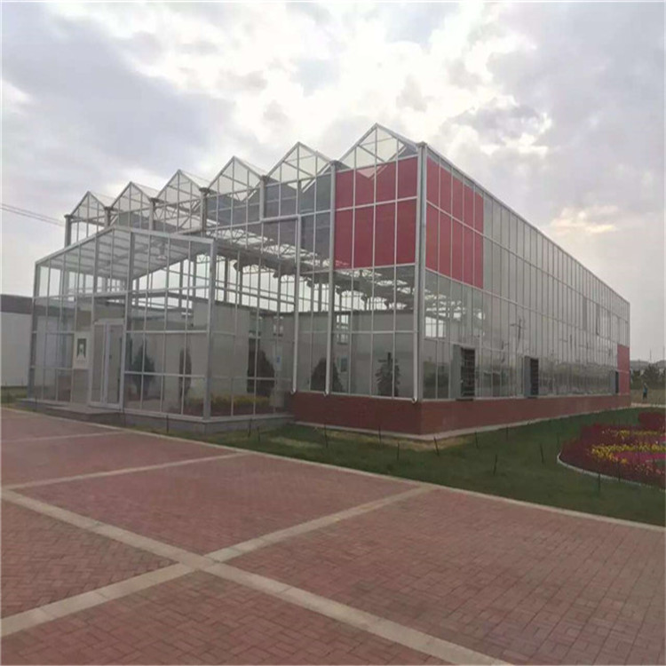 温室生态建设,生态餐厅厂家 玻璃生态建设 温室餐厅厂家