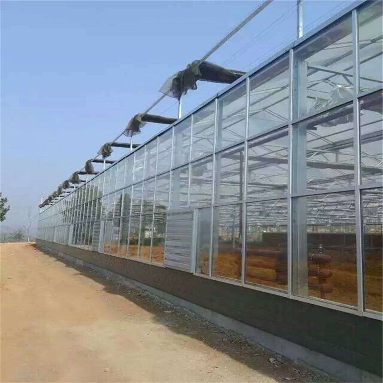 温室生态建设,生态餐厅厂家 玻璃生态建设 温室餐厅厂家