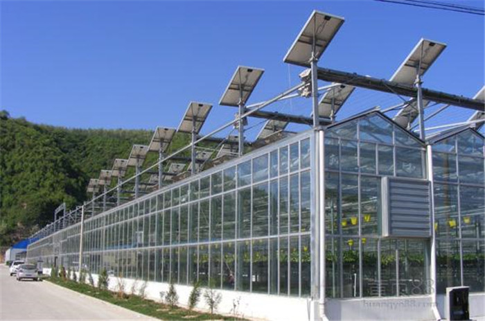 太阳能温室大棚，光伏温室建设价格&nbsp;&nbsp;玻璃光伏温室&nbsp;&nbsp;光伏大棚