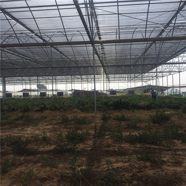连栋温室价格，塑料温室大棚建设&nbsp;&nbsp;薄膜连栋温室&nbsp;&nbsp;圆形温室大棚