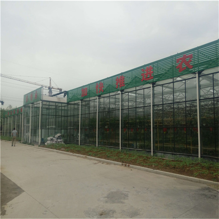 玻璃光伏温室大棚，光伏温室建设&nbsp;&nbsp;光伏大棚&nbsp;&nbsp;太阳能温室