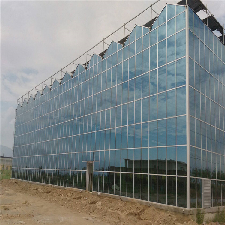 纹络式玻璃温室，玻璃温室大棚建设&nbsp;&nbsp;玻璃大棚&nbsp;&nbsp;尖顶玻璃温室
