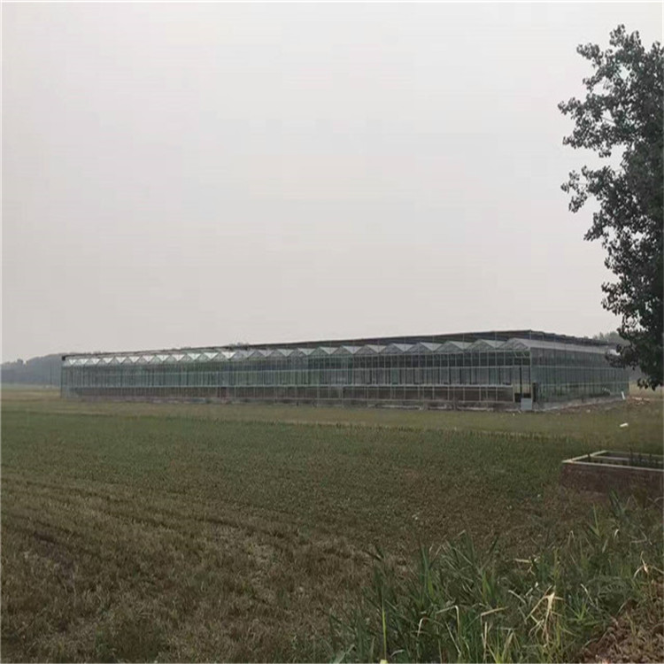 青州建设pc板温室大棚，阳光板大棚厂家&nbsp;&nbsp;纹络式阳光板温室&nbsp;&nbsp;尖顶阳光板温室