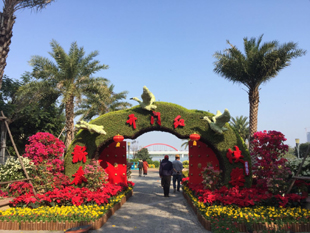 漳州绿雕立体花坛景观工程五色草植物雕塑产品