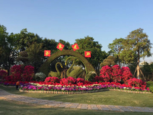 漳州绿雕立体花坛景观工程五色草植物雕塑产品