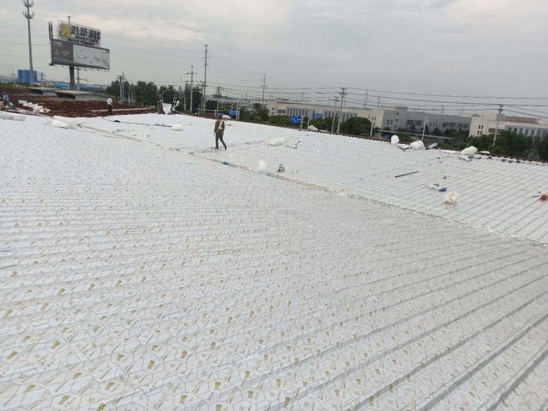 彩钢瓦翻新工程指定自粘卷材批发价格  彩钢瓦防水  钢结构防水  屋面防水
