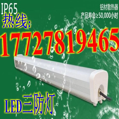 LED食品车间专用灯 冷库三防灯