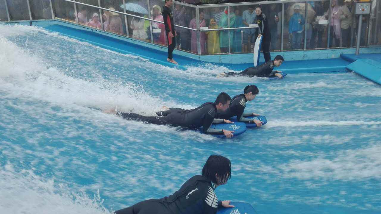 大型高端模拟水上冲浪水上乐园水上乐园水上冲浪出租  水上冲浪租赁  水上冲浪制造厂家
