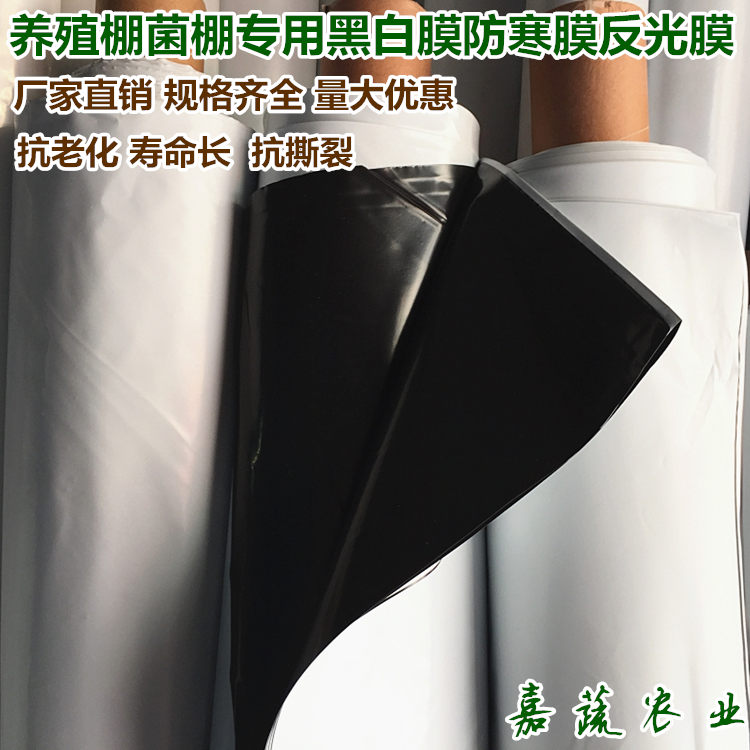 蔬菜大棚防寒膜 养殖棚菌棚专用黑白膜 纯黑膜  食用菌棚用黑白膜  养殖棚专用黑白膜  农业黑白膜