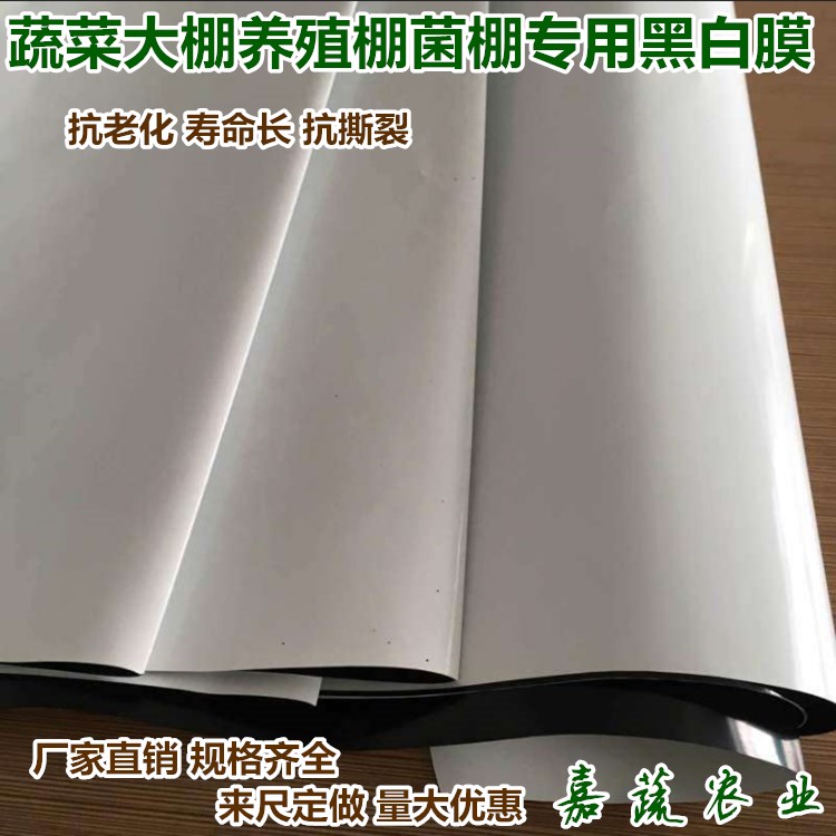 蔬菜大棚防寒膜 养殖棚菌棚专用黑白膜 纯黑膜  食用菌棚用黑白膜  养殖棚专用黑白膜  农业黑白膜