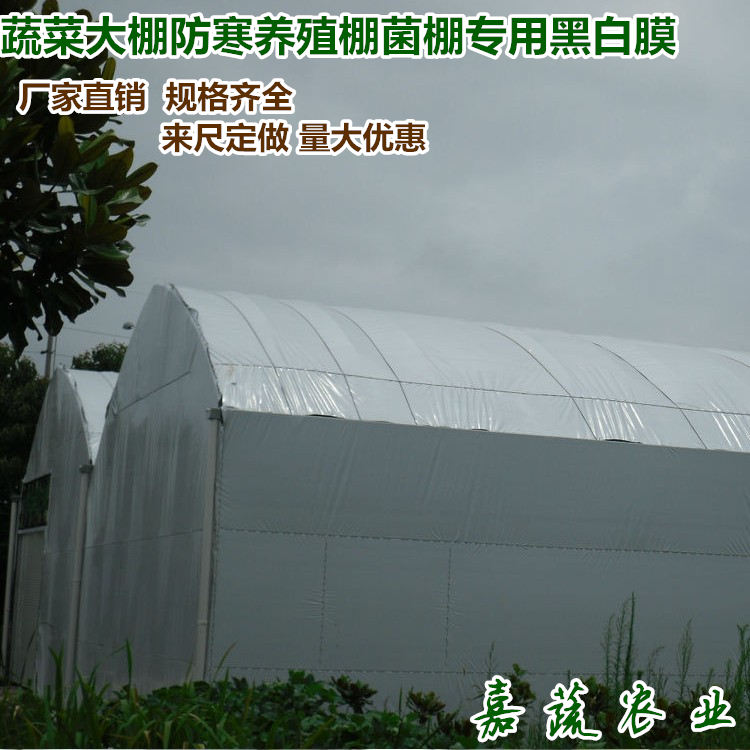 蔬菜大棚防寒膜 养殖棚菌棚专用黑白膜 纯黑膜  食用菌棚用黑白膜  养殖棚专用黑白膜  农业黑白膜