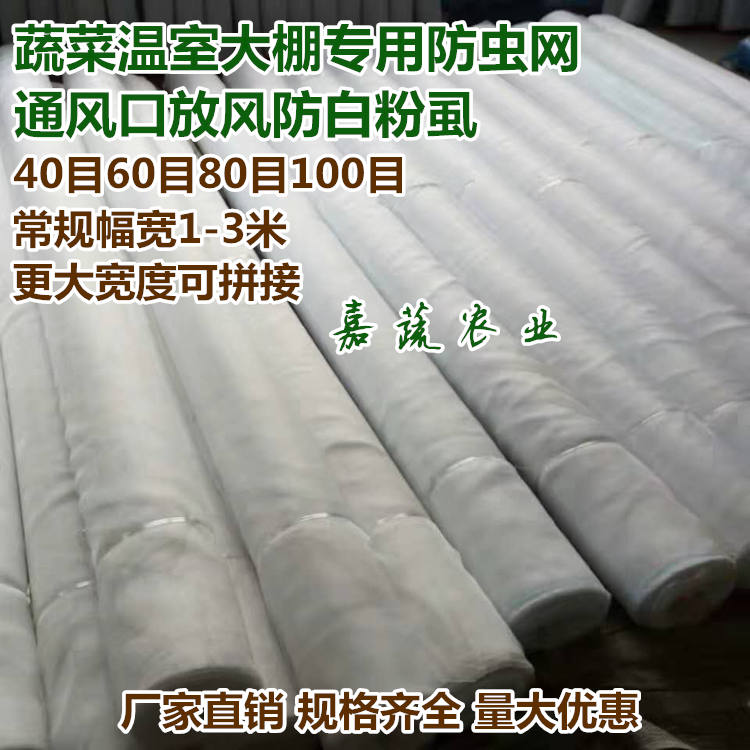 全新防虫网大棚专用蔬菜尼龙网农业养殖业60目防虫网  蔬菜大棚用防虫网  温室大棚用防虫网  农用防虫网
