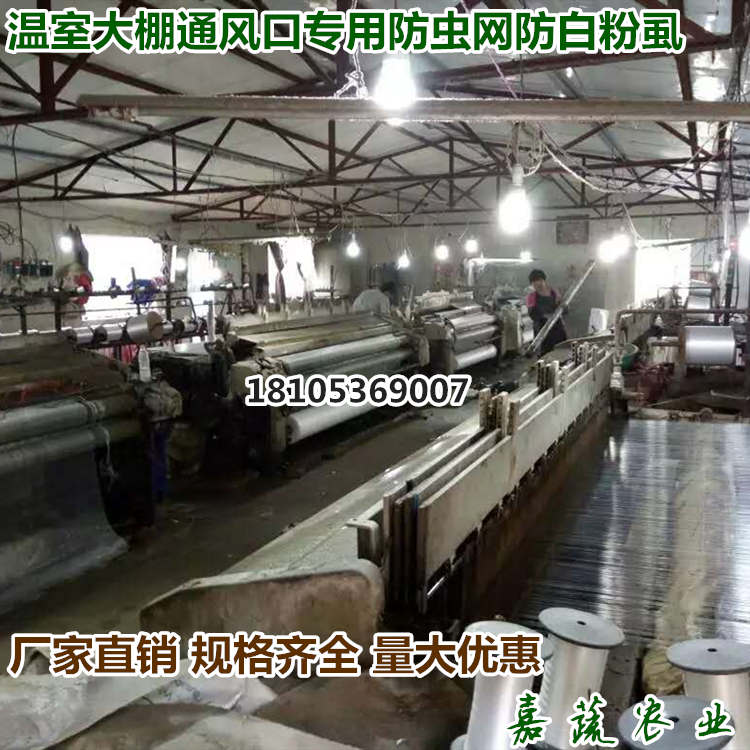 全新防虫网大棚专用蔬菜尼龙网农业养殖业60目防虫网  蔬菜大棚用防虫网  温室大棚用防虫网  农用防虫网