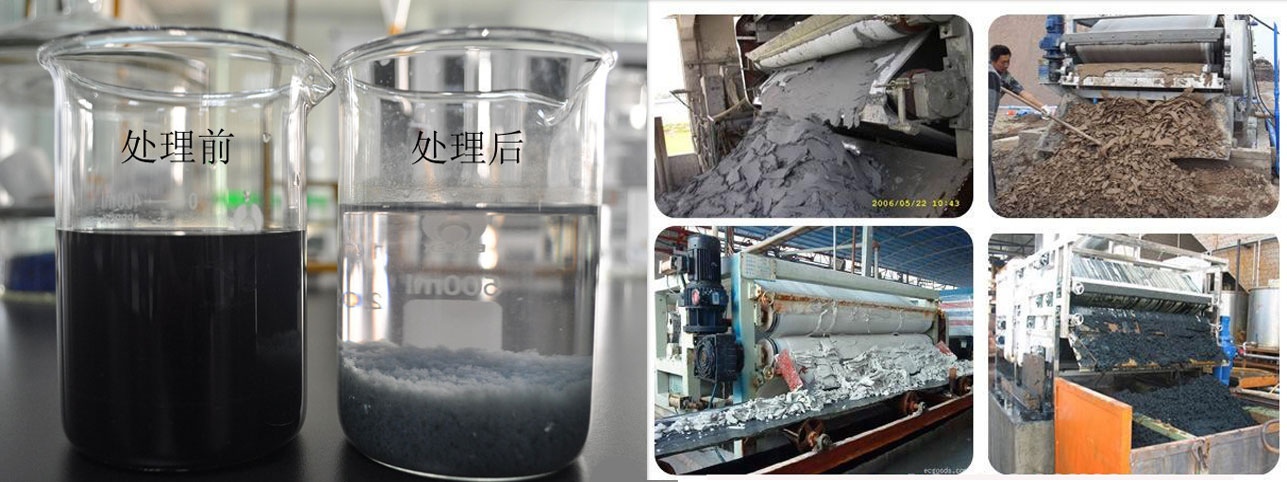 污泥减水剂价格，广东阳离子聚丙烯酰胺选型  污泥减水剂型号  阳离子聚丙选型
