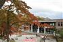 广东湛江东京大阪留学
