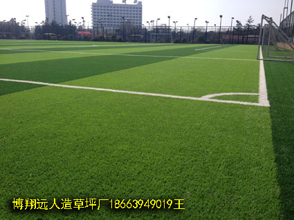 足球场专用人工草皮价格太原企业
