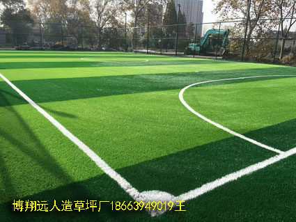 足球场专用人工草皮价格太原企业