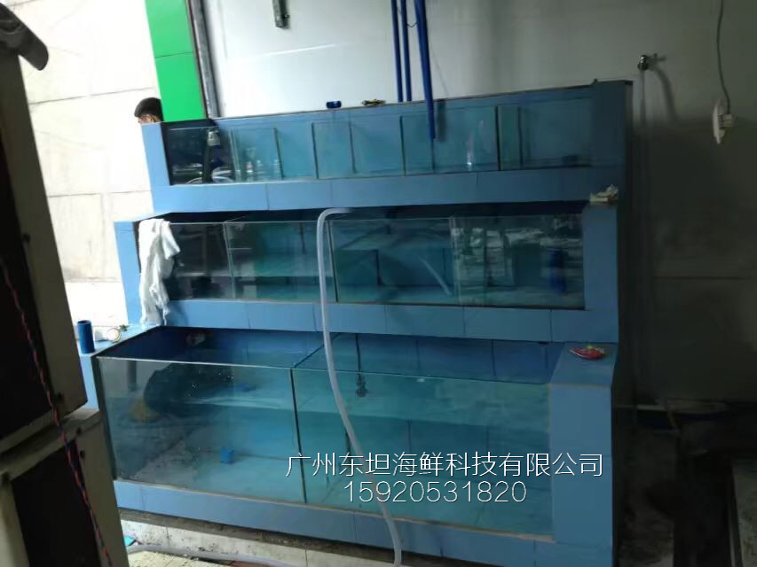 南沙定做海鲜池，万达定做海鲜饭店海鲜鱼池  饭店海鲜鱼池定做  万达定做海鲜鱼缸