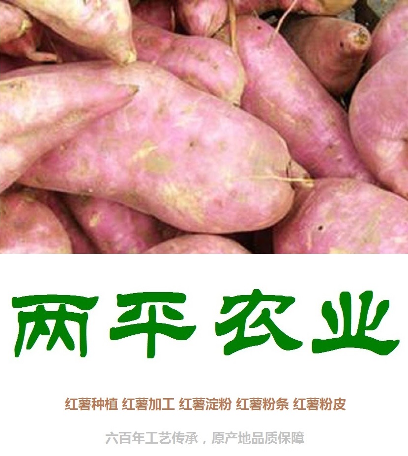 荆门粉皮【两平农业】
