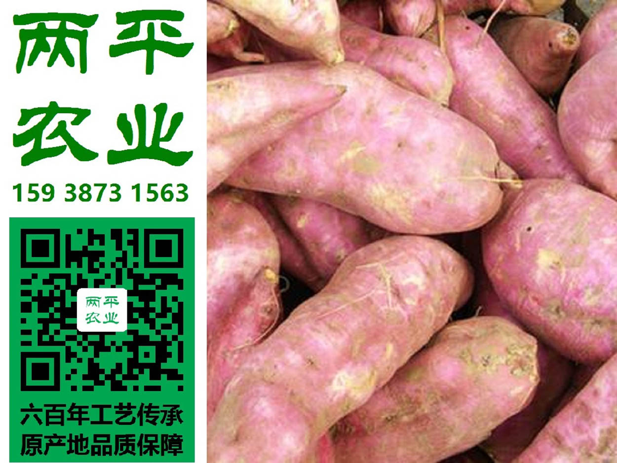 莱芜新鲜红薯粉丝粉线粗丝