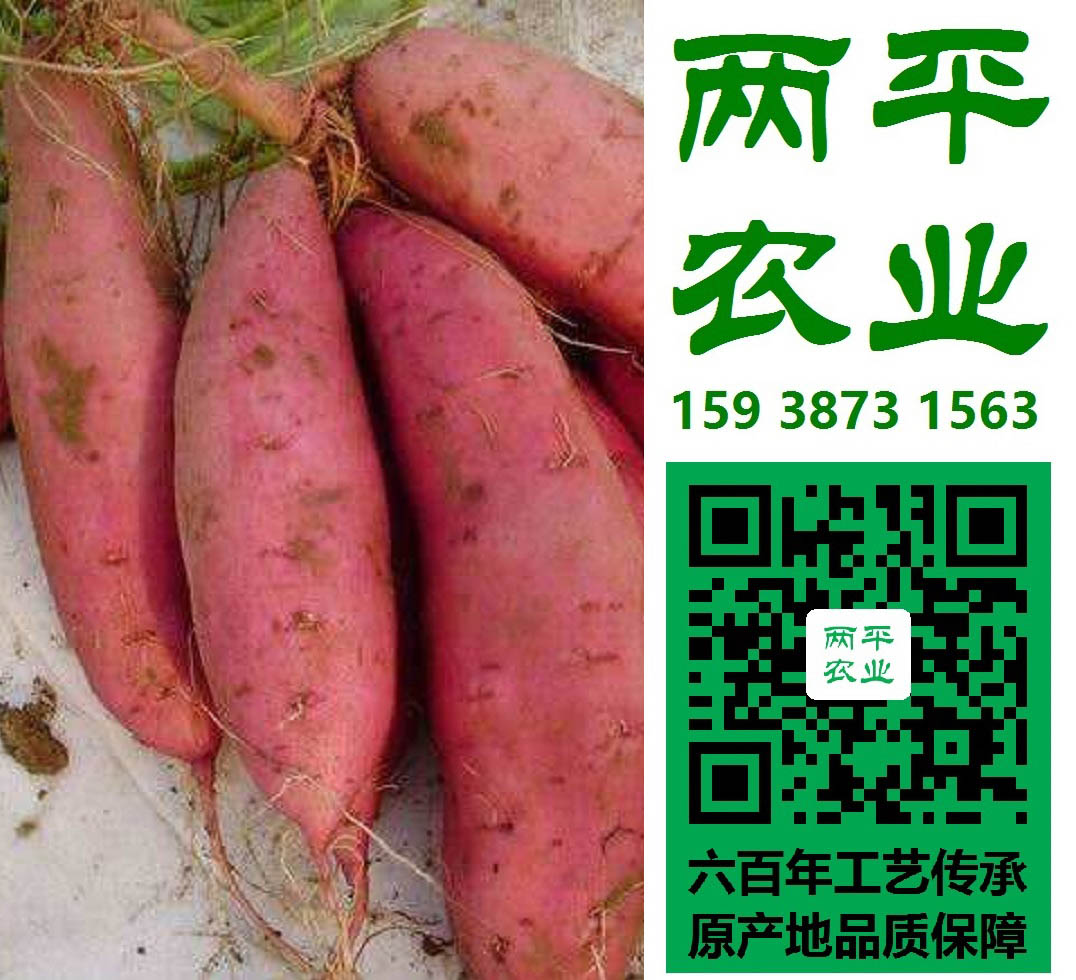 山东湿红薯粉条做法大全