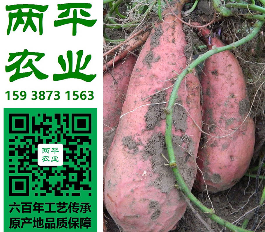 三门峡粉皮散装零售