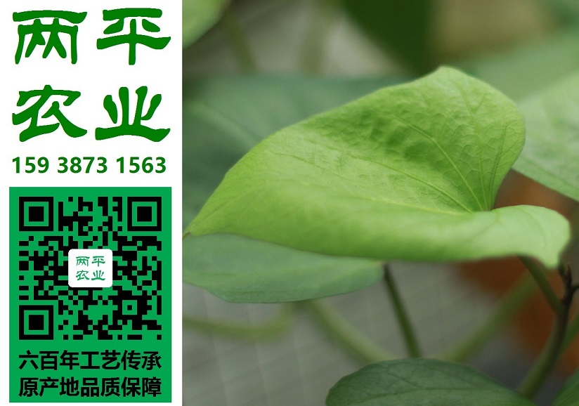 萍乡正宗红薯粉皮怎样鉴别