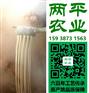 巢湖新鲜红薯粉条【两平农业】