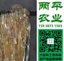 正宗红薯粉条企业定制陕西