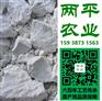 湿红薯粉丝主产区丹东