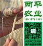 毕节手工红薯粉条批发商
