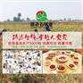 干野山椒批发供应商－匡老五辣业