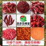 干辣椒批发市场行情信息－匡老五辣业