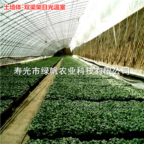 全钢架日光温室 冬暖式大棚 蔬菜大棚骨架