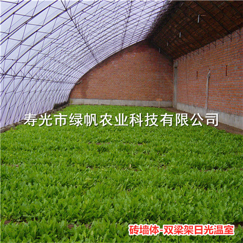 全钢架日光温室 冬暖式大棚 蔬菜大棚骨架