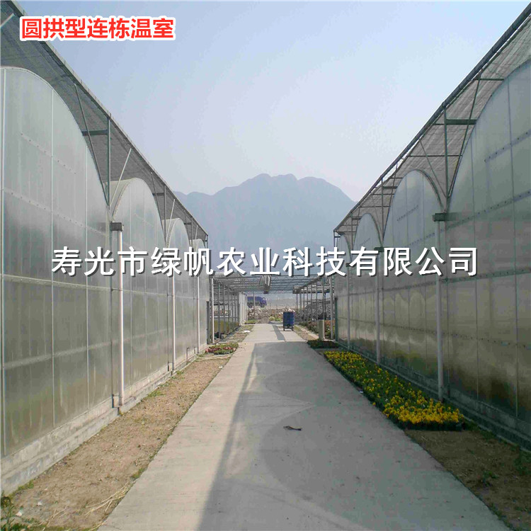 圆拱型连栋温室 薄膜连栋 日光温室 智能温室 大棚骨架  薄膜连栋温室