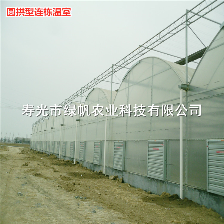 圆拱型连栋温室 薄膜连栋 日光温室 智能温室 大棚骨架  薄膜连栋温室