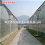 圆拱型连栋温室 薄膜连栋 日光温室 智能温室 大棚骨架