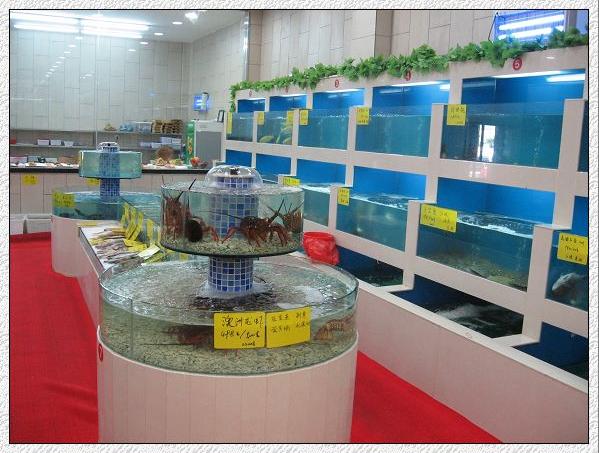 深圳海鲜池安装、超市海鲜鱼池定制  餐饮海鲜鱼池  海鲜池价格