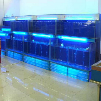 深圳饭店海鲜鱼池、酒楼海鲜池制作 贝类海鲜鱼池 玻璃海鲜鱼池 海鲜鱼池定制
