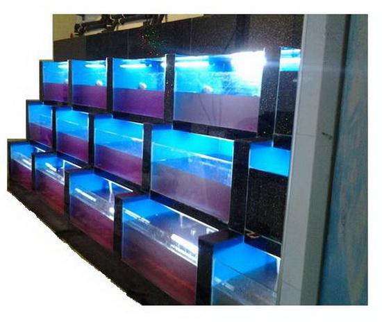 深圳土建海鲜池、酒店海鲜池订做  海鲜池制作工程  海鲜池设计  海鲜鱼池定制