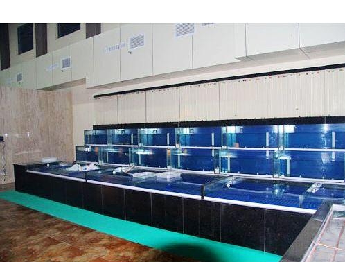 深圳土建海鲜鱼池、海鲜池定做制作  海鲜鱼池厂家  超市海鲜池  酒店海鲜池