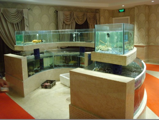 深圳海鲜池图片、海鲜鱼池设计图定做  酒店海鲜池  海鲜鱼池安装  三层海鲜池