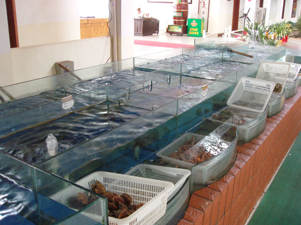 深圳玻璃海鲜鱼池、海鲜池设计订做  超市海鲜鱼池  土建海鲜鱼池  海鲜鱼池定制